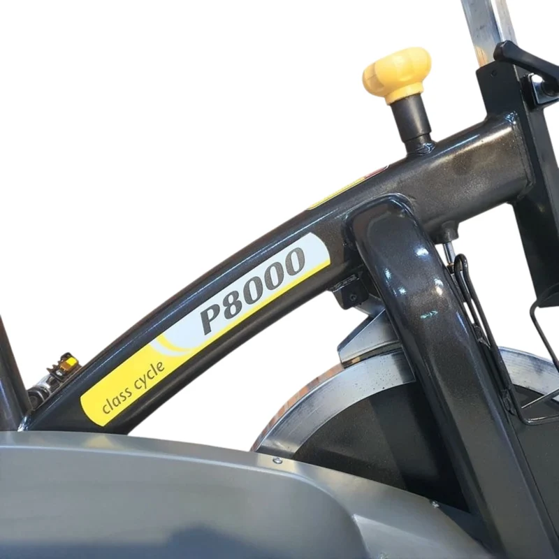 Johnson P8000 Class Indoor Cycle
