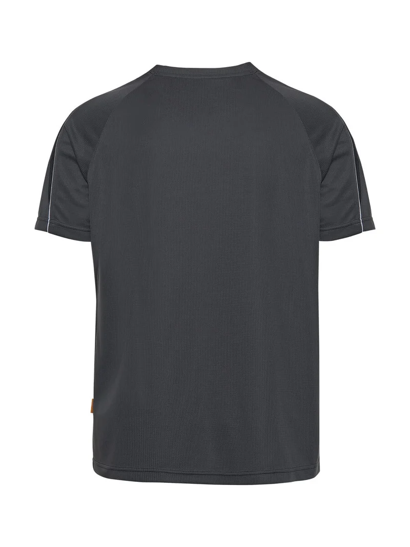 Funktions Shirt Pro / ISM 0043 Grau