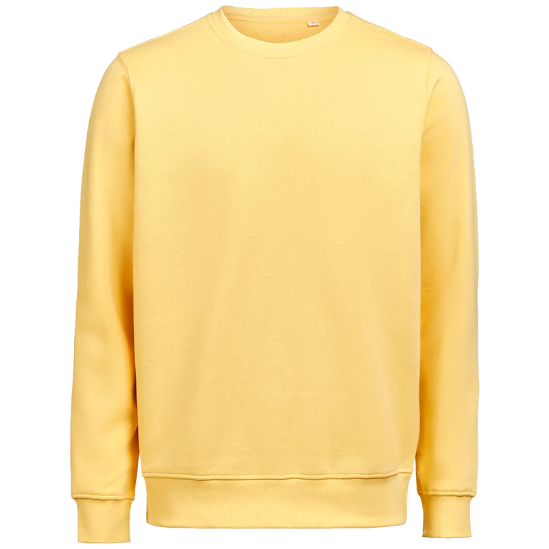 Untagged Movement Crewneck OCS-RCS Regular Fit 3430010