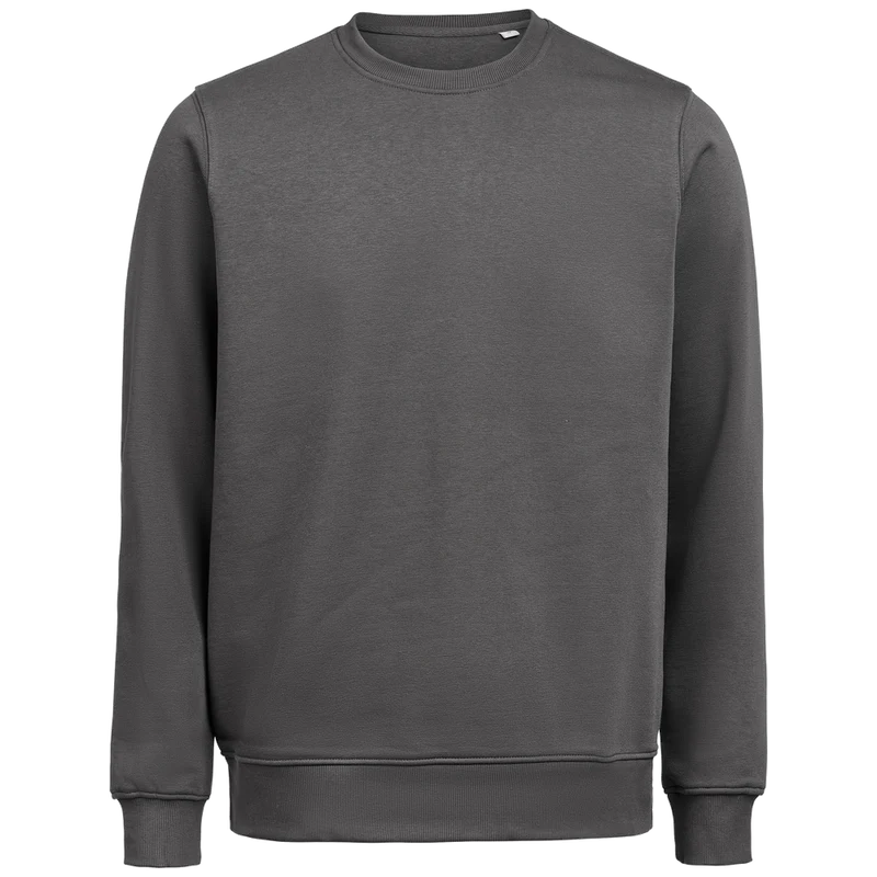 Untagged Movement Crewneck OCS-RCS Regular Fit 3430010