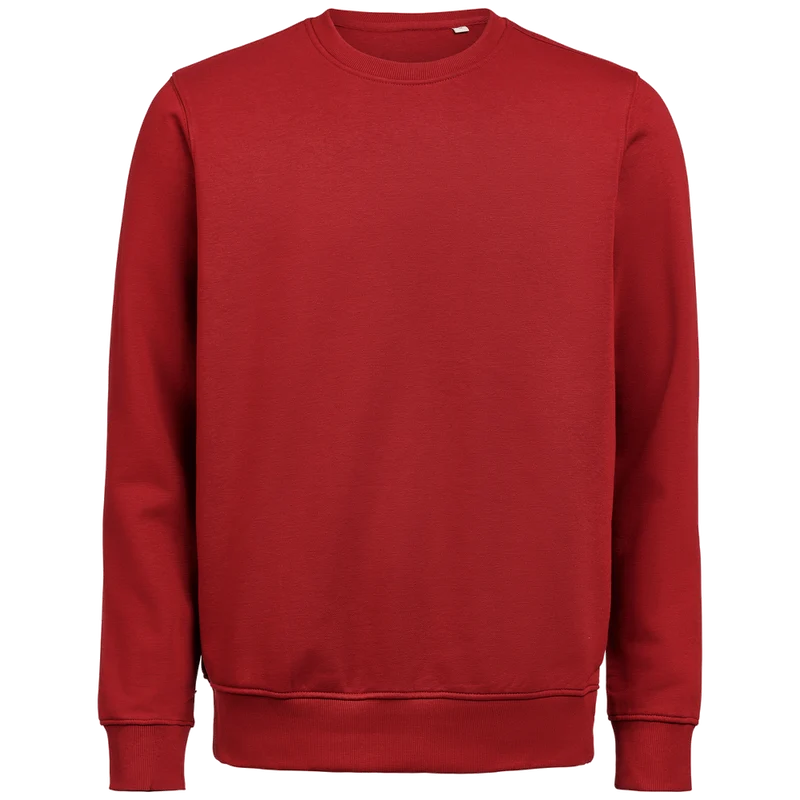 Untagged Movement Crewneck OCS-RCS Regular Fit 3430010