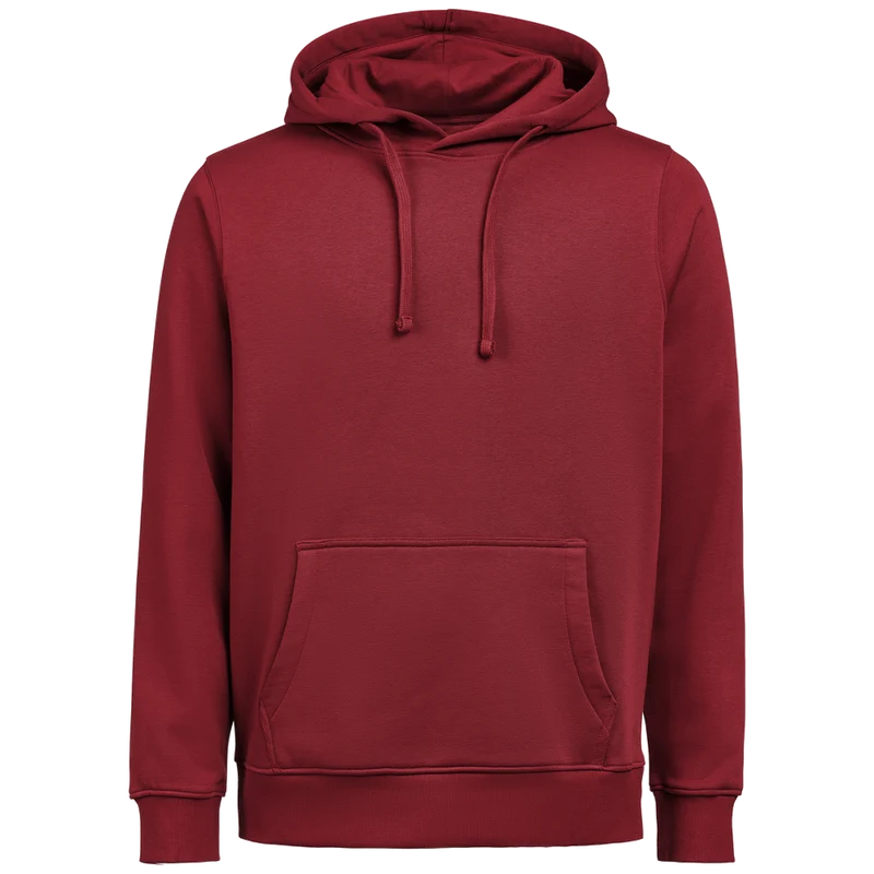 Untagged Movement Hoodie OCS-RCS Regular Fit 3440010