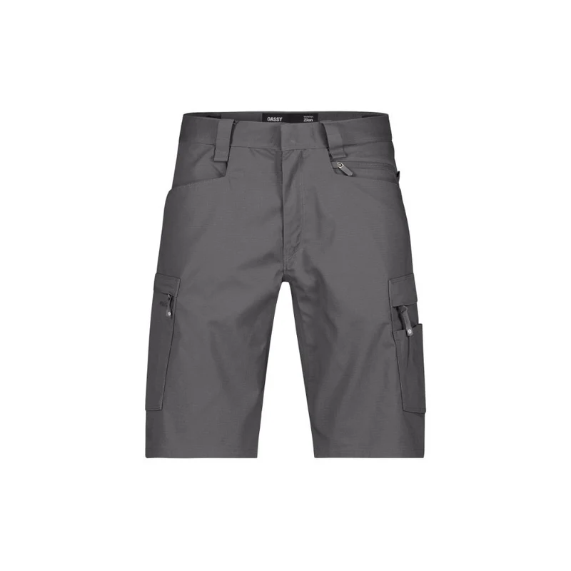 Dassy Vivid Zion Werkshort 250109