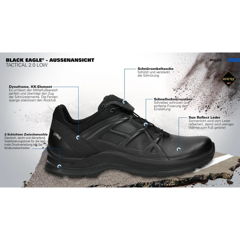 BLACK EAGLE Tactical 2.1 GTX low/black