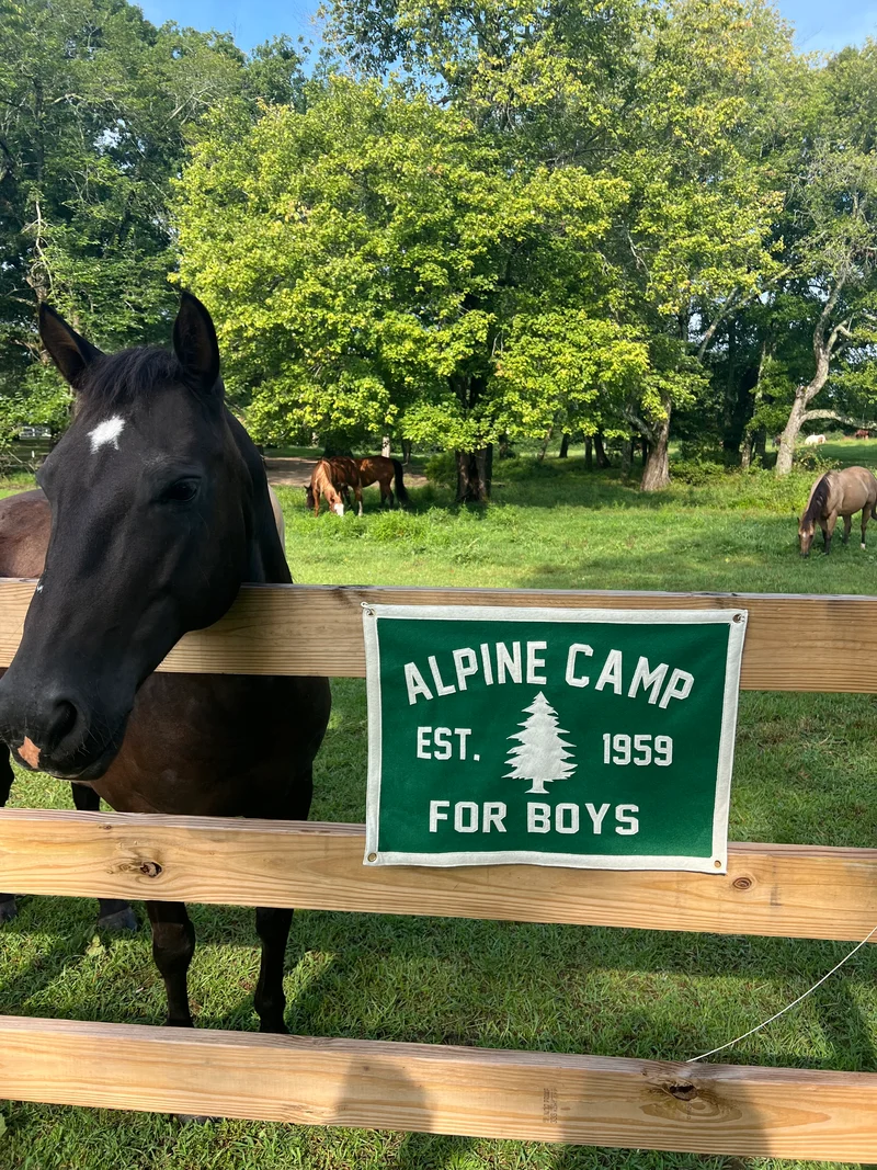 Alpine Felt Banner