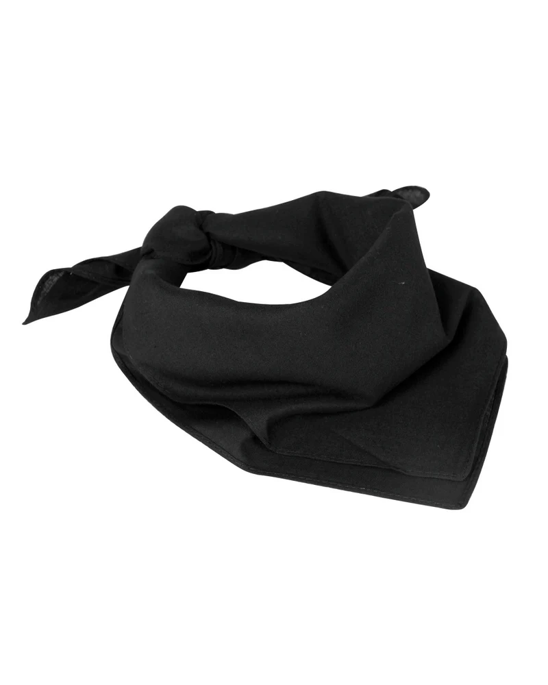 HALSTUCH (BANDANA) in 5. Farben