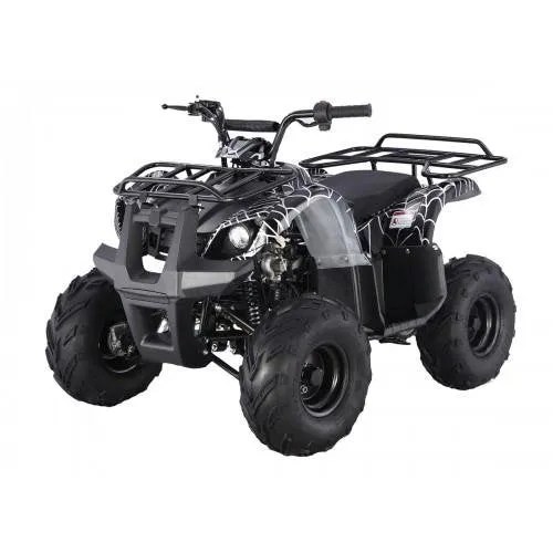 Tao Motor D125 Kids ATVs