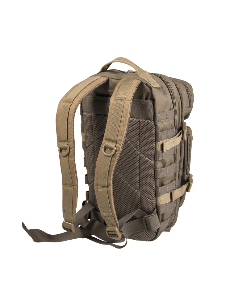 US ASSAULT PACK SMALL in 9. Farben