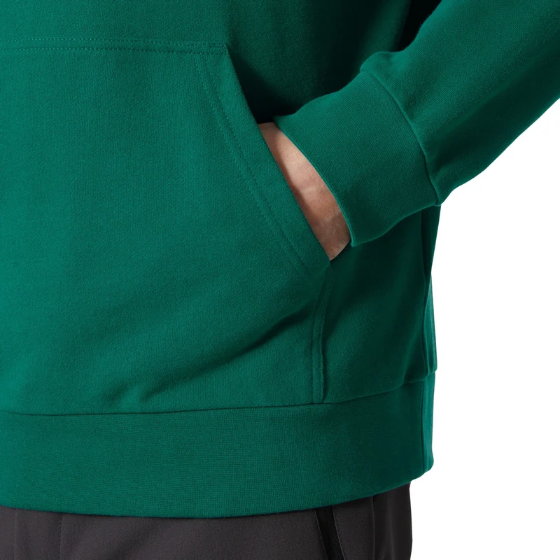 Helly Hansen Logo 2.0 Hoodie