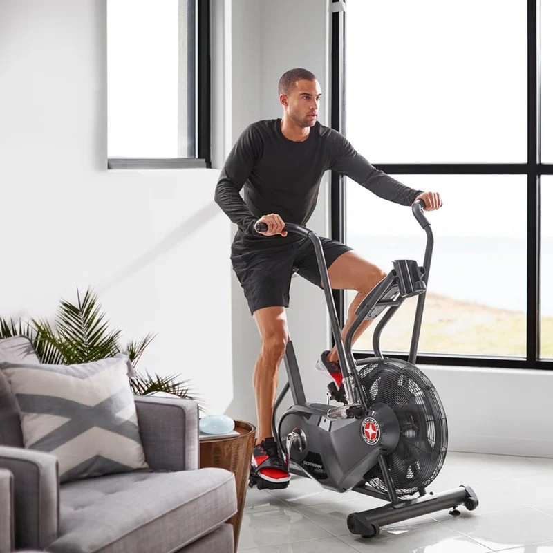 Schwinn Airdyne AD6 Exercise Bike